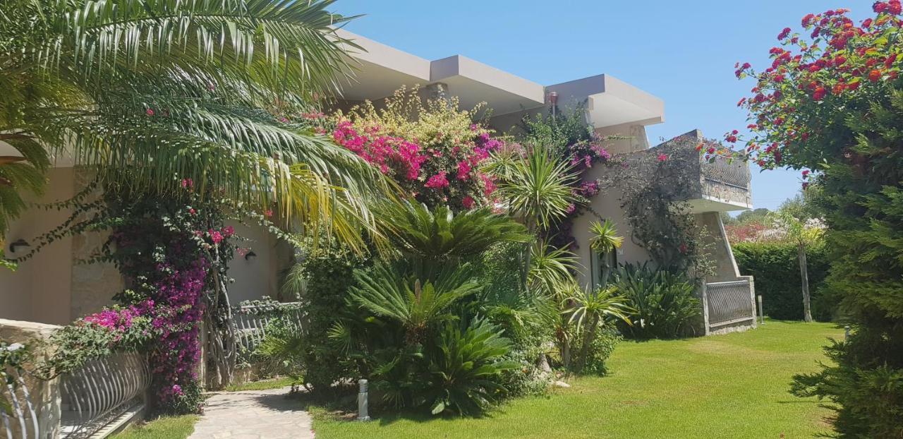 וילסימיוס Palm Village מראה חיצוני תמונה