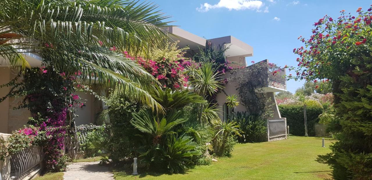 וילסימיוס Palm Village מראה חיצוני תמונה
