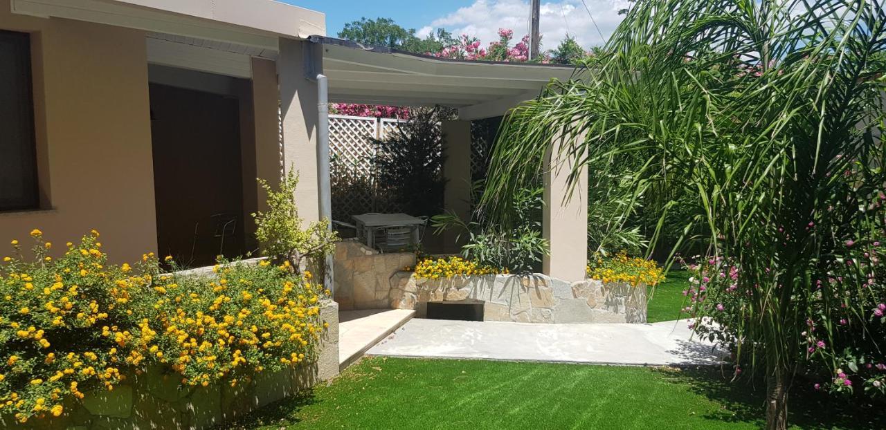 וילסימיוס Palm Village מראה חיצוני תמונה