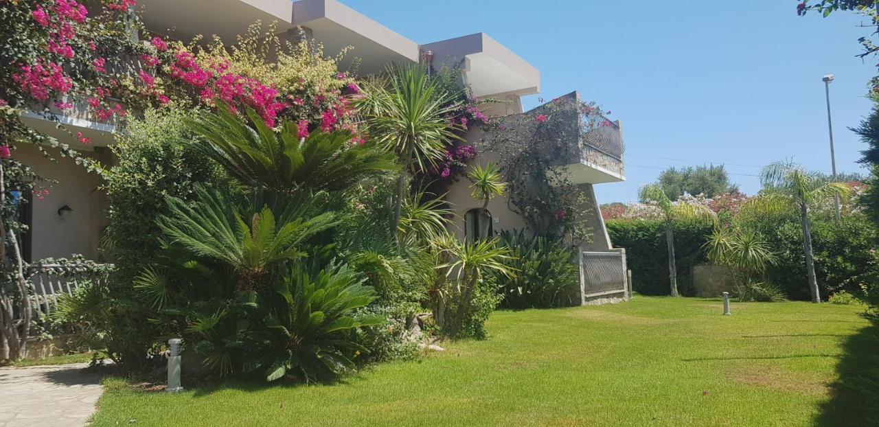 וילסימיוס Palm Village מראה חיצוני תמונה