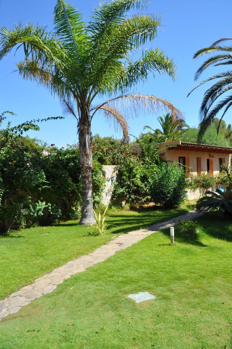 וילסימיוס Palm Village מראה חיצוני תמונה
